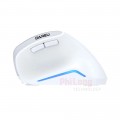 Chuột Không Dây Công Thái Học Dareu LM108B  Màu Trắng (Bluetooth + 2.4G, 2400DPI, PIN AAA)