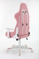 Ghế Gaming Warrior Raider Series WGC206 White Pink