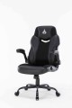Ghế Gaming Warrior Raider Series WGC203 Black