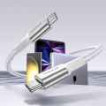 Cáp USB-C to USB-C INNOSTYLE POWERFLEX 100W/10GBPS 4K/60HZ, Màu Silver (ICC200ALSLV)