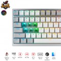 Bàn phím cơ không dây Asus ROG Azoth White NX Red Switch (75 phím, USB-C, Bluetooth, RF 2.4GHz, Hotswap, Màn OLED)
