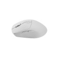 Chuột không dây EDRA EM605W White (Bluetooth + 2.4GHz, 1600DPI, Pin sạc)