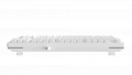 Bàn phím cơ DareU EK87L V2 White - Firefly Switch (Tactile) (87 phím, No LED)