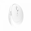 Chuột Không Dây DareU LM158D Ergo White (Bluetooth + 2.4GHz, 1600 DPI, Pin 1xAA)