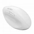 Chuột Không Dây DareU LM158D Ergo White (Bluetooth + 2.4GHz, 1600 DPI, Pin 1xAA)