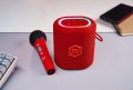 Loa Karaoke Di Động Alpha Works SONIK Plus Red (20W, Bluetooth 5.3, AUX, Pin 6 giờ, Led RGB, Kèm 1 micro không dây)