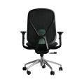 Ghế Công Thái Học Epione ElysChair - Không Kê Đầu - All Black