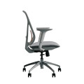 Ghế Công Thái Học Epione ElysChair - Không Kê Đầu - Cool Gray