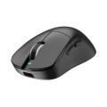 Chuột Gaming Không Dây ThunderBird TM621W Black (3 mode, PAW3311, 12.000 DPI, 58g)