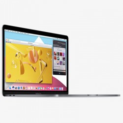 APPLE MACBOOK PRO RETINA 15.4INCH MLW72SA/A MIDDLE 2016 - SILVER