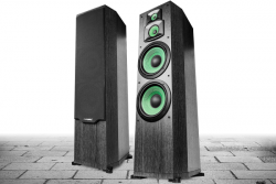 Loa Karaoke Paramax F2000
