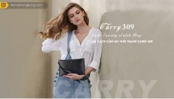 Túi xách cầm tay thời trang CARRY 309