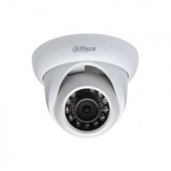 Camera Dome IP Dahua DS2130DIP