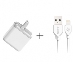 Combo sạc cáp du lịch UM2 3.1A - lightning L-L219 Lightning xám