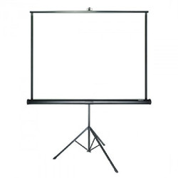 Màn chiếu chân 2.13m x 2.13m APOLLO/DALITE 120 inch (màn chiếu đứng có chân)