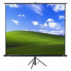 Màn chiếu chân 1.78m x 1.78m exzen 100 inch (màn chiếu đứng có chân)