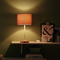 Đèn trang trí để bàn PHILIPS LIMBA 36017 (công suất 24W, sử dụng bóng E27/chưa gồm bóng)