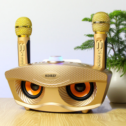 Micro + Loa Hát KARAOKE SDRD SD306 (2 Mic không dây)