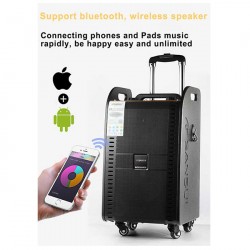 Loa kéo di động Bluetooth SANSUI SANSUI SG1-12 màu đen + Tặng kèm 2 Micro không dây (3800W Peak)
