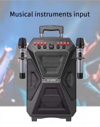 Loa kéo di động Hát karaoke W-KING K5