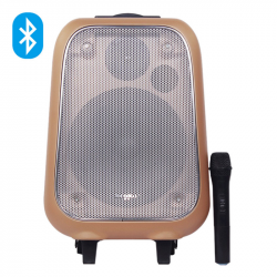 Loa di động xách tay/Hát karaoke Soundmax M6