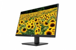 Màn Hình Phẳng 23.8 HP P244 (5QG35AA) (IPS/FHD/DSUB/HDMI/DP/BLACK/3Y)