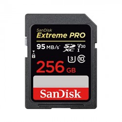 Thẻ nhớ SD Sandisk Extreme Pro 256Gb V30 95Mb/s (SDSDXXG-256G-GN4IN)