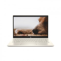 Laptop HP Pavilion 14-DV0005TU (2D7A1PA) (i3-1115G4, Ram 4GB, SSD 256GB, Màn hình 14" Full HD, Win 10)
