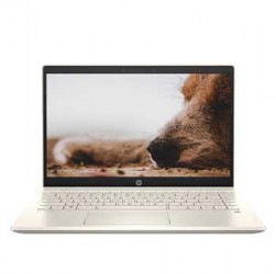 LAPTOP HP PAVILION14 - DV0013TU (2D7B8PA) (i7-1165G7, Ram 8GB, SSD 512GB, Màn hình 14" Full HD, Win 10)