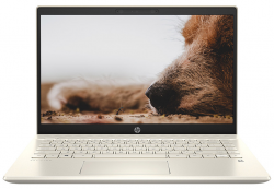 LAPTOP HP PAVILION 14 - DV0008TU (2D7A5PA) (i5-1135G7, Ram 8GB, SSD 512GB, Màn hình 14" Full HD, Win 10)