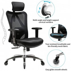 Ghế Công Thái Học Ergonomic Sihoo M18 Màu Đen