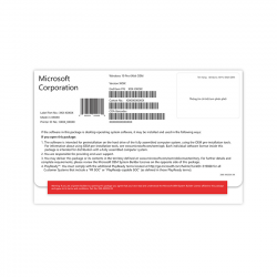 Phần mềm Windows 11 Pro 64-bit OEI (FQC-10528, Win Pro 11 x64 Eng Intl 1pk DSP OEI DVD)