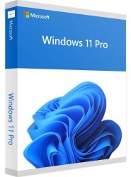 Phần mềm Windows 11 Pro 64-bit OEI (FQC-10528, Win Pro 11 x64 Eng Intl 1pk DSP OEI DVD)