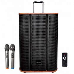 Loa di động xách tay/Hát karaoke Microtek MTK 12-02