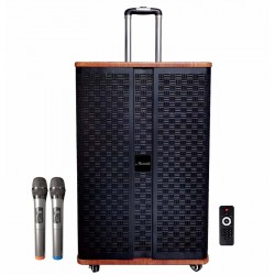 Loa di động xách tay/Hát karaoke Microtek MTK 15-02