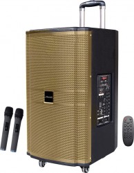 Loa di động Microtek MTK 15-02, 650W, kèm 2 Micro không dây, Hàng chính hãng, bảo hành 12 Tháng