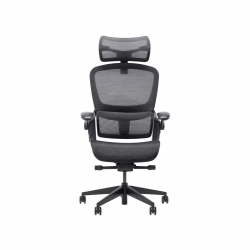 Ghế Công Thái Học Epione Easy Chair 2.0 Màu Đen (Chưa bao gồm kê chân)