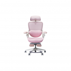 Ghế Công Thái Học Epione Easy Chair Blossom (Đã bao gồm kê chân)