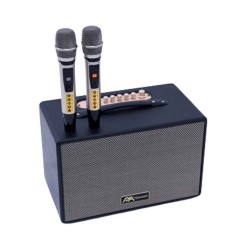 Loa Karaoke Di Động Xách Tay NOVA AUDIO NV-300 Platinum