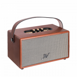 Loa Di Động Retro ALPHA WORKS Classic V80 Màu Nâu (80W, Pin 5h)