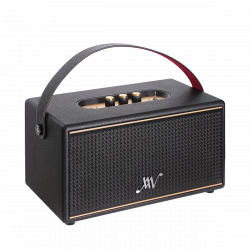 Loa Di Động Retro ALPHA WORKS Classic V80 Màu Đen (80W, Pin 5h)
