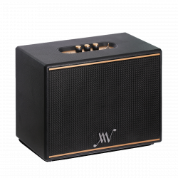 Loa Di Động Retro ALPHA WORKS Classic V100 Màu Đen (100W, Pin 5h)