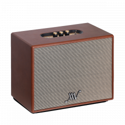 Loa Di Động Retro ALPHA WORKS Classic V100 Màu Nâu (100W, Pin 5h)