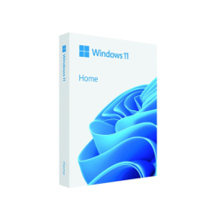 Phần Mềm Microsoft Windows Home 11 64bit ESD KW9-00664
