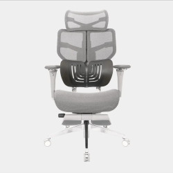 Ghế Công Thái Học Epione AliusChair - Cool Gray