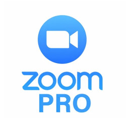 Dịch Vụ Trực Tuyến Zoom Workplace Pro 300 Participants (Gói 1 năm)