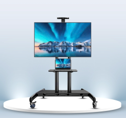 Giá Treo Tivi Di Động Ergotek E2600 55-100 inch