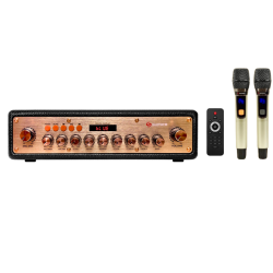 Vang Số SUMICO DMP1 (Kèm 2 Micro Không Dây)